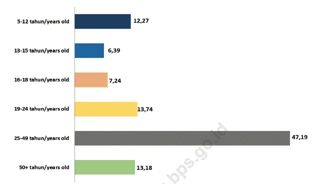 Rentang Usia Pengguna Internet Indonesia